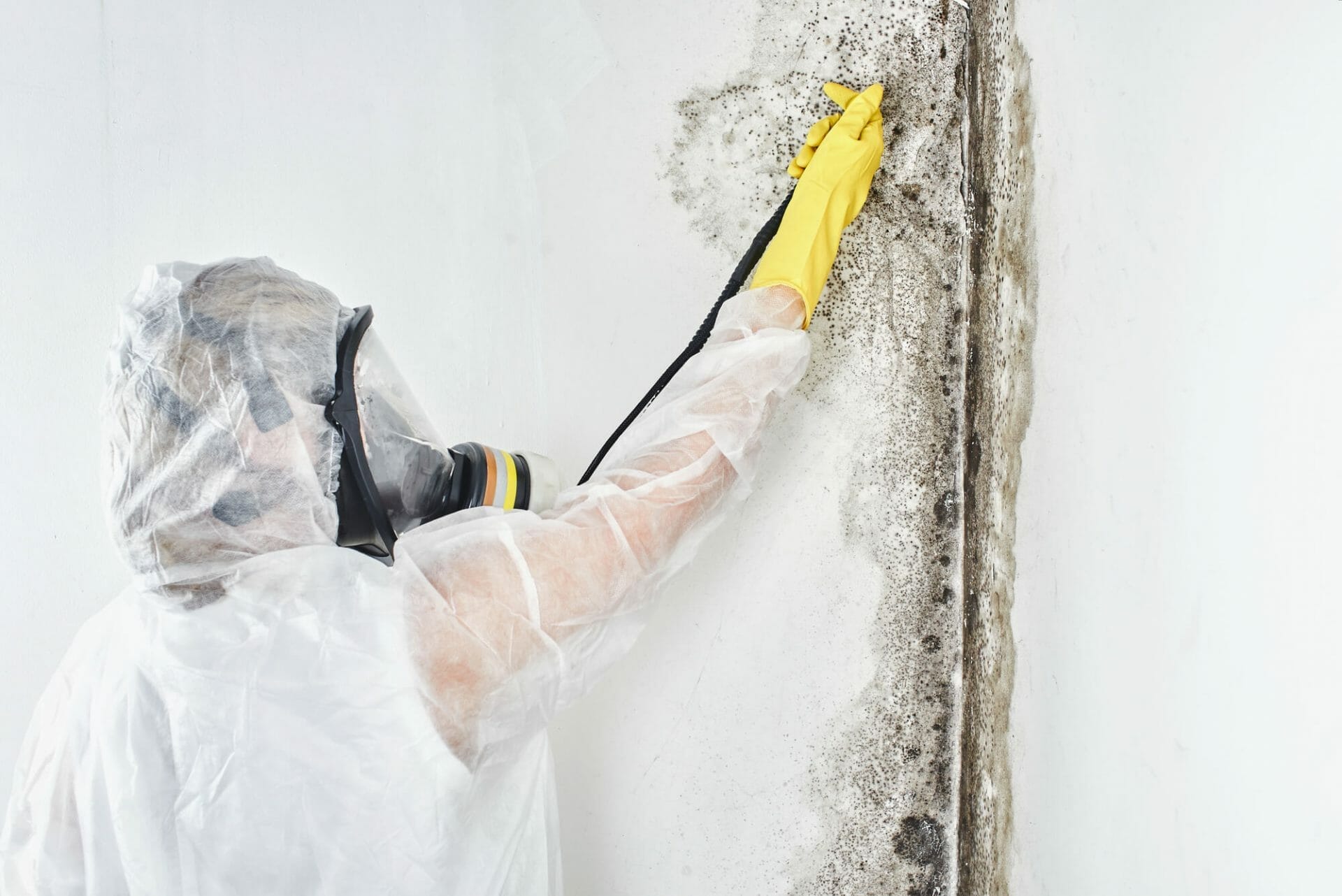 Spray Foam Insulation and Mold-A Complete Guide